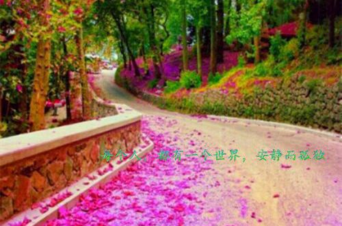 情侣之间分手失恋后发的说说