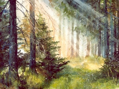 经典美句摘抄短句风景
