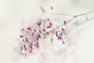 现代名人名句摘抄大全