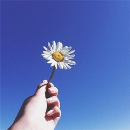 经典哲理名言简短