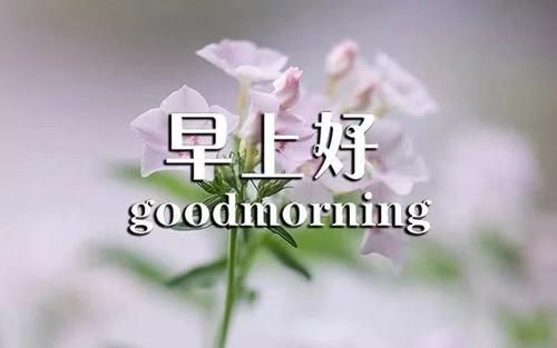 名句摘抄唯美现代
