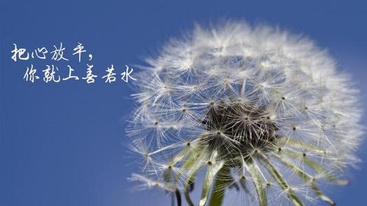 简短的人生感悟名句