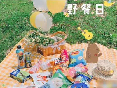 适合发朋友圈的野餐文案