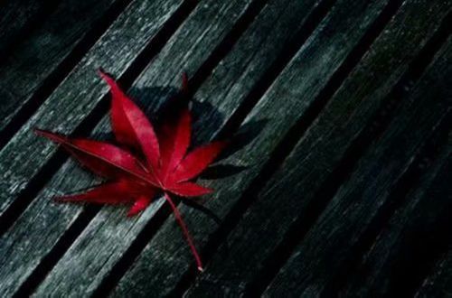 关于分手的说说伤感