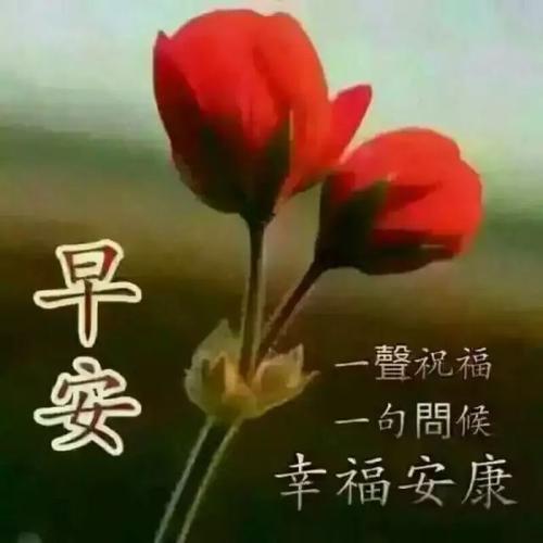 早安正能量说说朋友圈简短