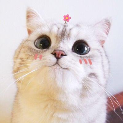 360.DOC个人图书馆