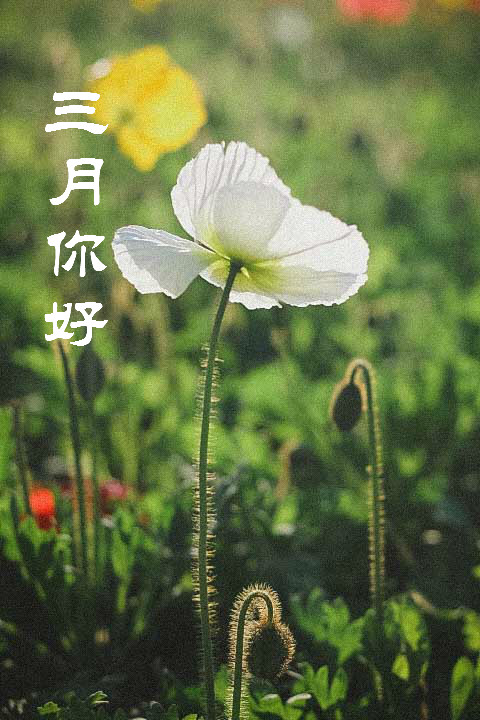 表达今天很开心的说说心情