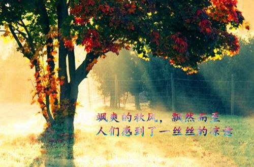 永远不分手的恋爱说说(49句)