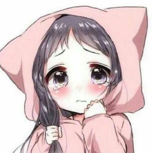 和家人一起去赏花的心情说说