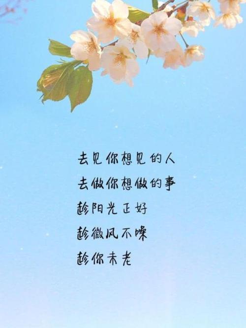 随缘随性随心的说说