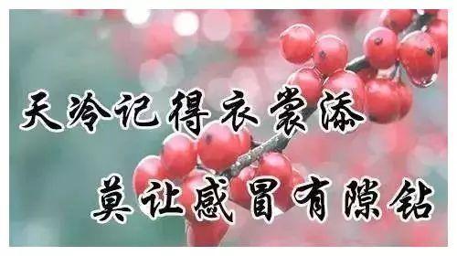 日常问候关心短信