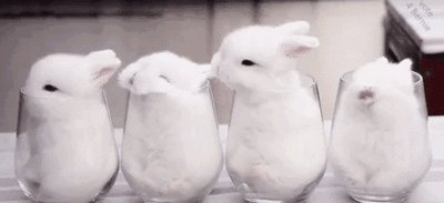 情话短句古风表白