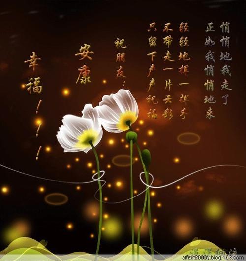一句很温暖的心情语录