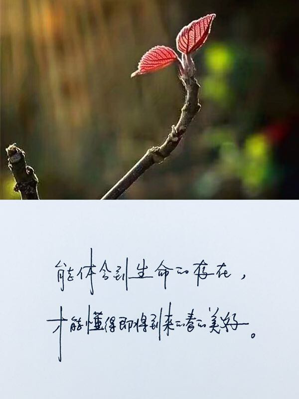 晚安说说短句2021