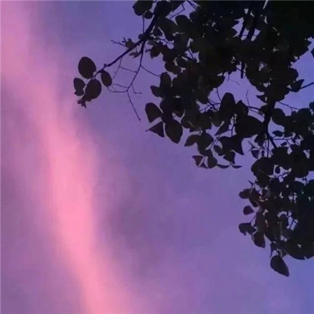 经典语录 励志唯美