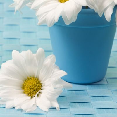 教师节名人名言大全