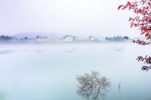 适合摘抄的句子励志