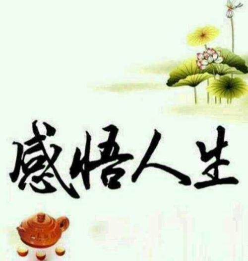 赏析名句的答题格式