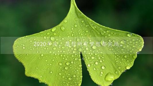 给初中生拼搏励志语录