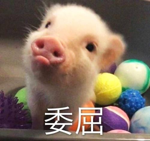 适合关于心情发朋友圈的句子