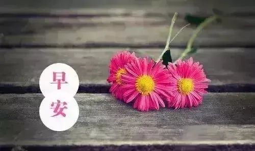 十句话穿透人心