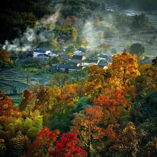 秋天暖心的句子大全
