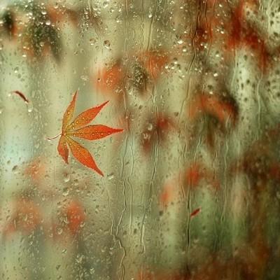 下雨天心情低落的说说