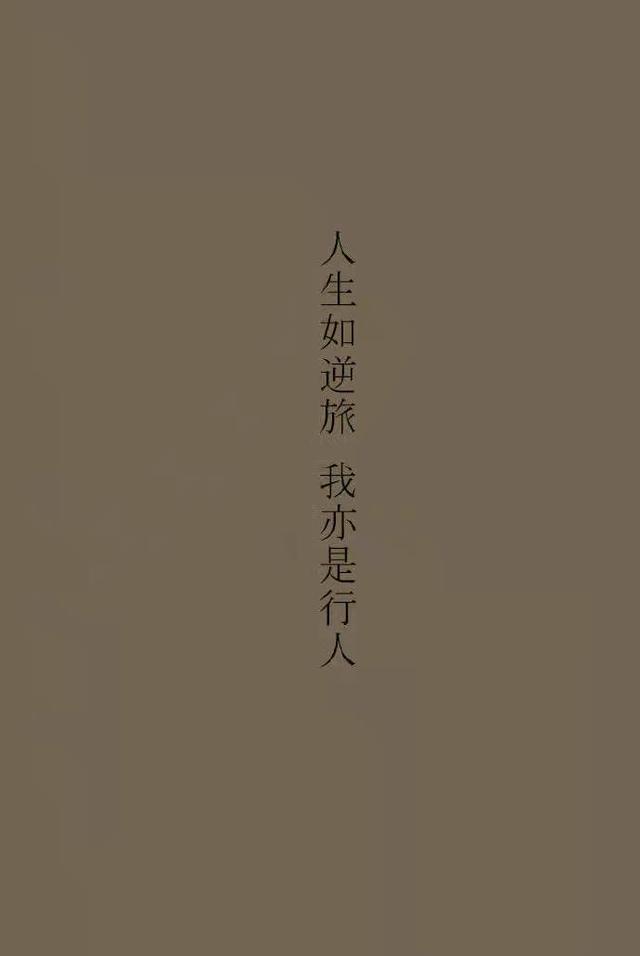 关于佛系的情感文案(佛系祝福文案)