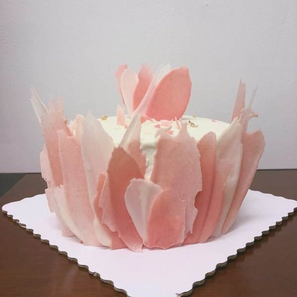 经典语录佳句赏析