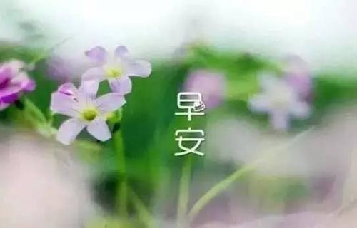 现实生活说说心情短语