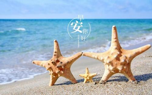 生活很现实的经典说说
