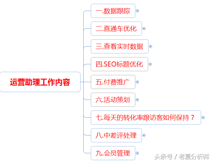 电商运营助理工作内容及每日工作安排运营指导