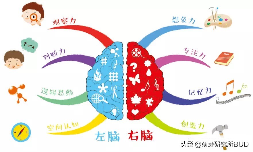 思维导图的好处你知道吗？3个关键让孩子学会画思维导图