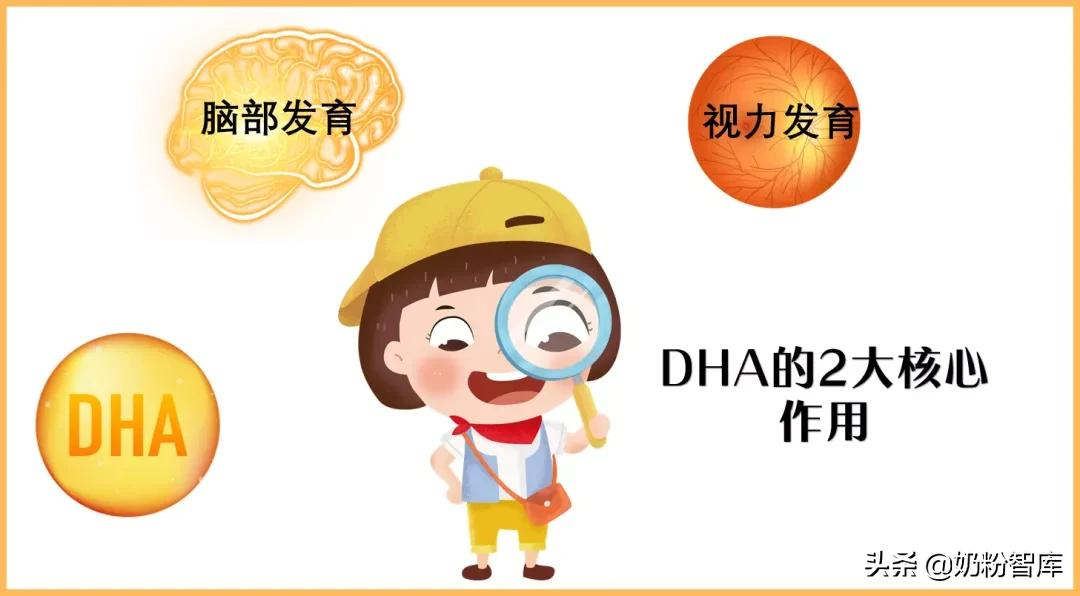 神奇的DHA，作用这么好！究竟怎么选？