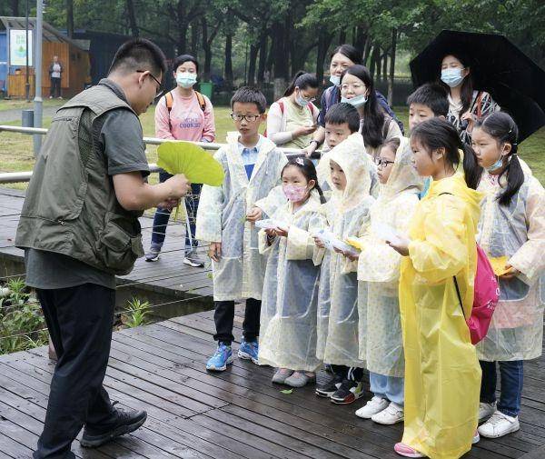 原来“出淤泥而不染”“藕断丝连”的科学原理是这样