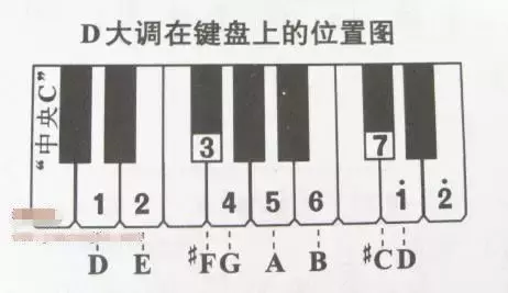 电子琴上哪个键是1234567？这里有你想知道的答案！