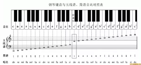 电子琴上哪个键是1234567？这里有你想知道的答案！