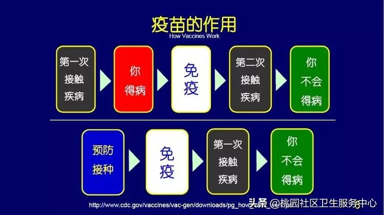 疫苗接种的基本知识都在这里啦