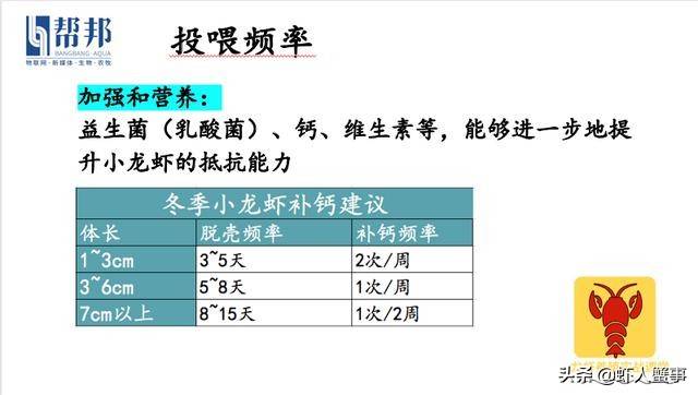 小龙虾越冬灵魂三连问：吃什么？在哪吃？什么时候吃？