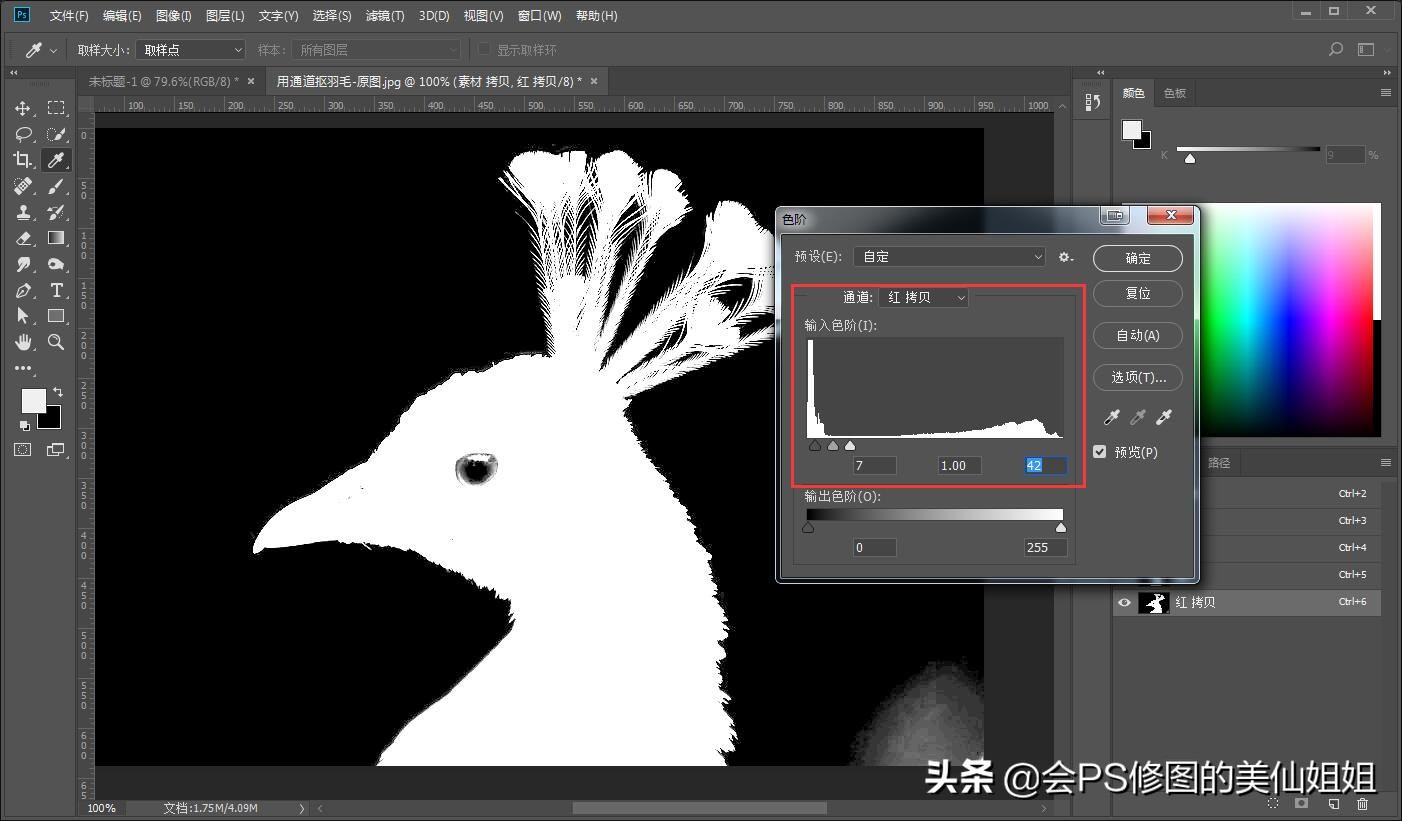 PS抠图教程：再简单不过的PS通道抠图方法-零基础篇