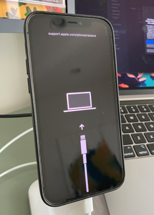 后悔升级iPhone？教你如何把iOS15降回iOS14