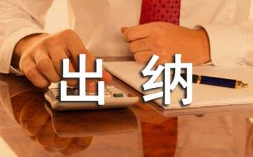 出纳个人年度总结