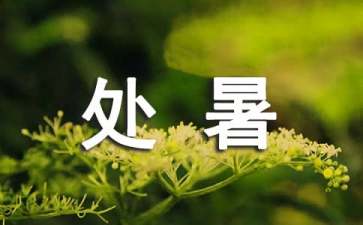 处暑吃什么传统食物最好
