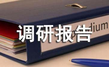 供电段实施流程化管理调研报告推荐