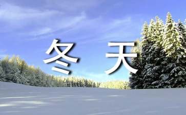 济南的冬天读后感(集合15篇)