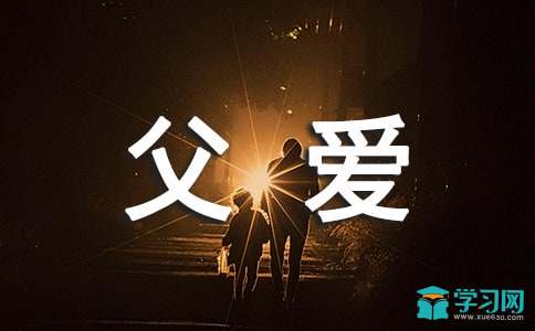 关于父爱的感言