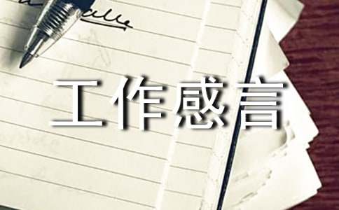 保险工作感言