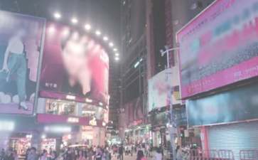《时代广场的蟋蟀》读后感集合15篇