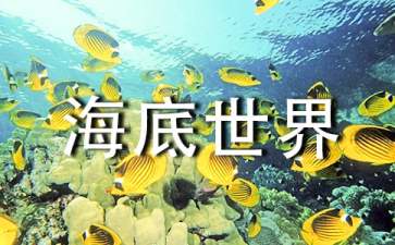 关于《海底世界》教案（精选12篇）
