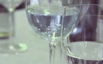 酒会答谢词九篇